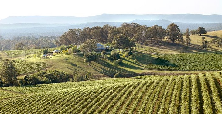 First Two Wineries